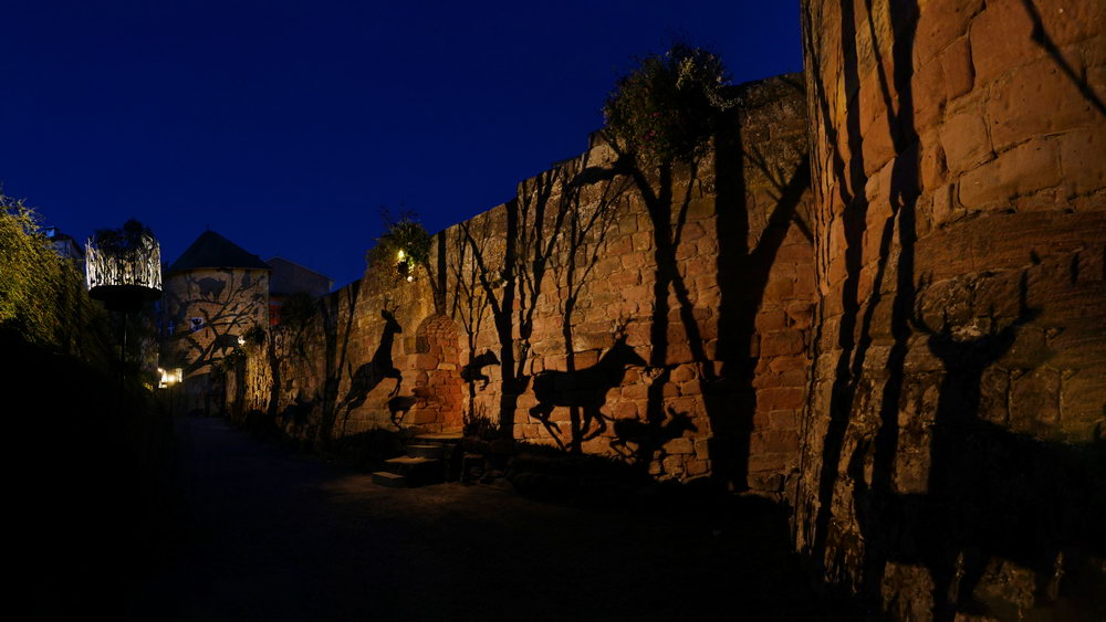 Shantidas Riedacker & Julia Dantonnet
NOCTURNE
Création Ombres et Lumière
Musée Gadagne
Musée de la Marionnette
Fête des Lumières de Lyon 2019
ombres animées
carrousel de lumière
ombres et silhouettes d'animaux nocturnes sauvages
forêt, marécages, marais, bois, cerfs, grenouilles, sangliers, chouettes, chats, hibou, chauve souris
