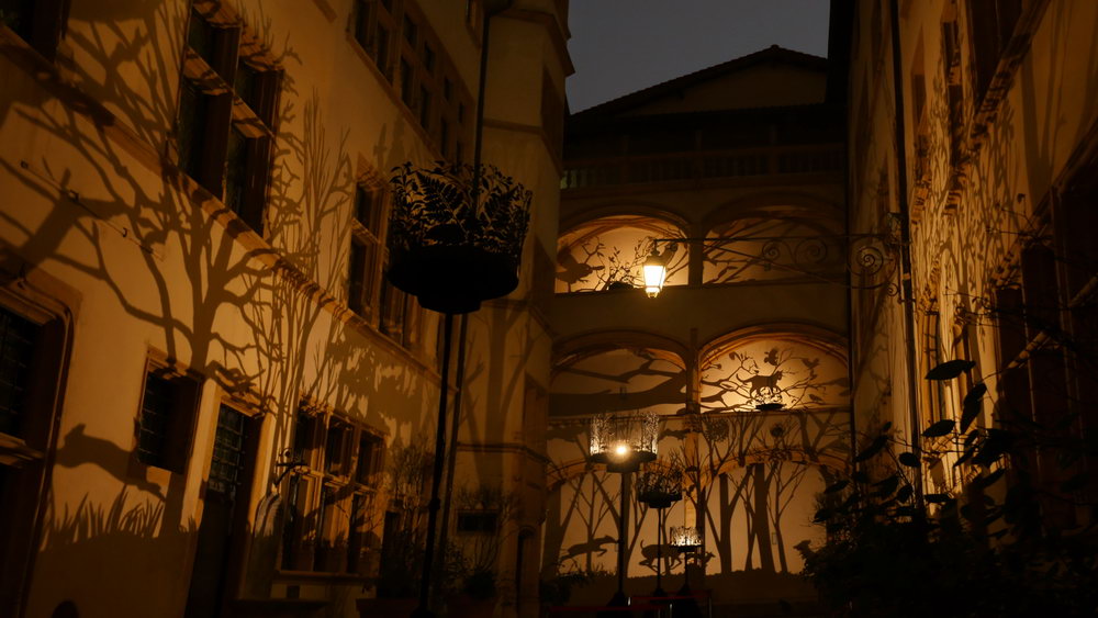 Shantidas Riedacker & Julia Dantonnet
NOCTURNE
Création Ombres et Lumière
Musée Gadagne
Musée de la Marionnette
Fête des Lumières de Lyon 2019
ombres animées
carrousel de lumière
ombres et silhouettes d'animaux nocturnes sauvages
forêt, marécages, marais, bois, cerfs, grenouilles, sangliers, chouettes, chats, hibou, chauve souris
